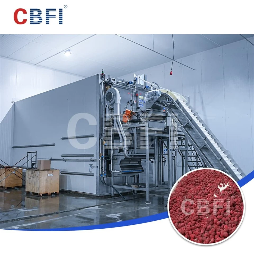 2000kg/h sodda fluwidizzata friża malajr li tagħti s-setgħa lill-industrija tal-Berry Aġġornament f'ħames Pajjiżi tal-Asja Ċentrali Stan
