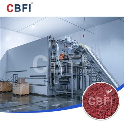 2000kg/h sodda fluwidizzata friża malajr li tagħti s-setgħa lill-industrija tal-Berry Aġġornament f'ħames Pajjiżi tal-Asja Ċentrali Stan