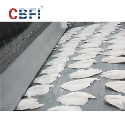 750kg/h Katina Pjanċa Mina Freezer - Il-Pied Ta 'l-Esportazzjoni-Kwalità Quick-Ffriżar Għall-Fletti tal-Ħut Indoneżjan
