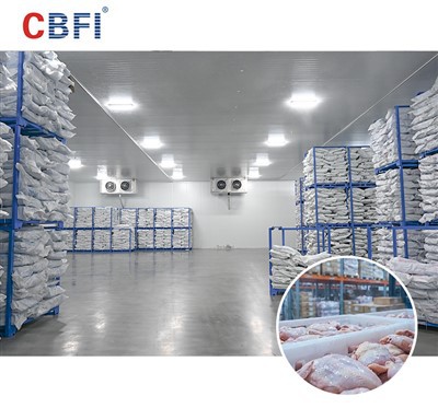 CBFI Soluzzjonijiet Kbar tal-Ħażna kiesħa tal-frott tal-baħar għall-Asja tax-Xlokk: It-Triq għall-Preservazzjoni Eċċellenti fi Klimi Tropikali