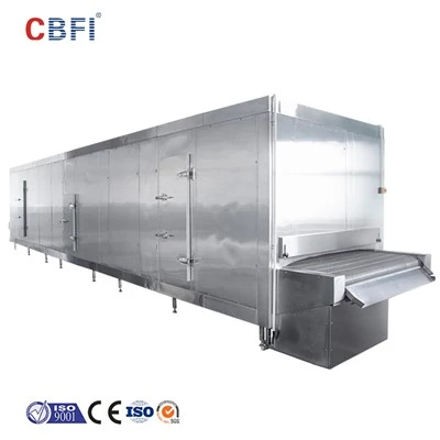 Blast Tunnel Quick Freezer Għas-Sajd
